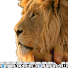 Installing OS X Lion on older Intel Machine