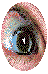 Return to Funnstuff Menu
