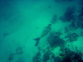 Snorkling Lisa