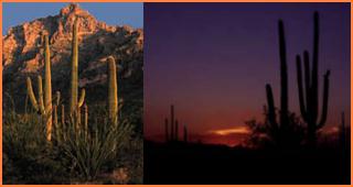 Return to Larson's INFO Page