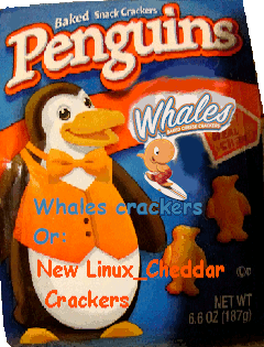 where to buy